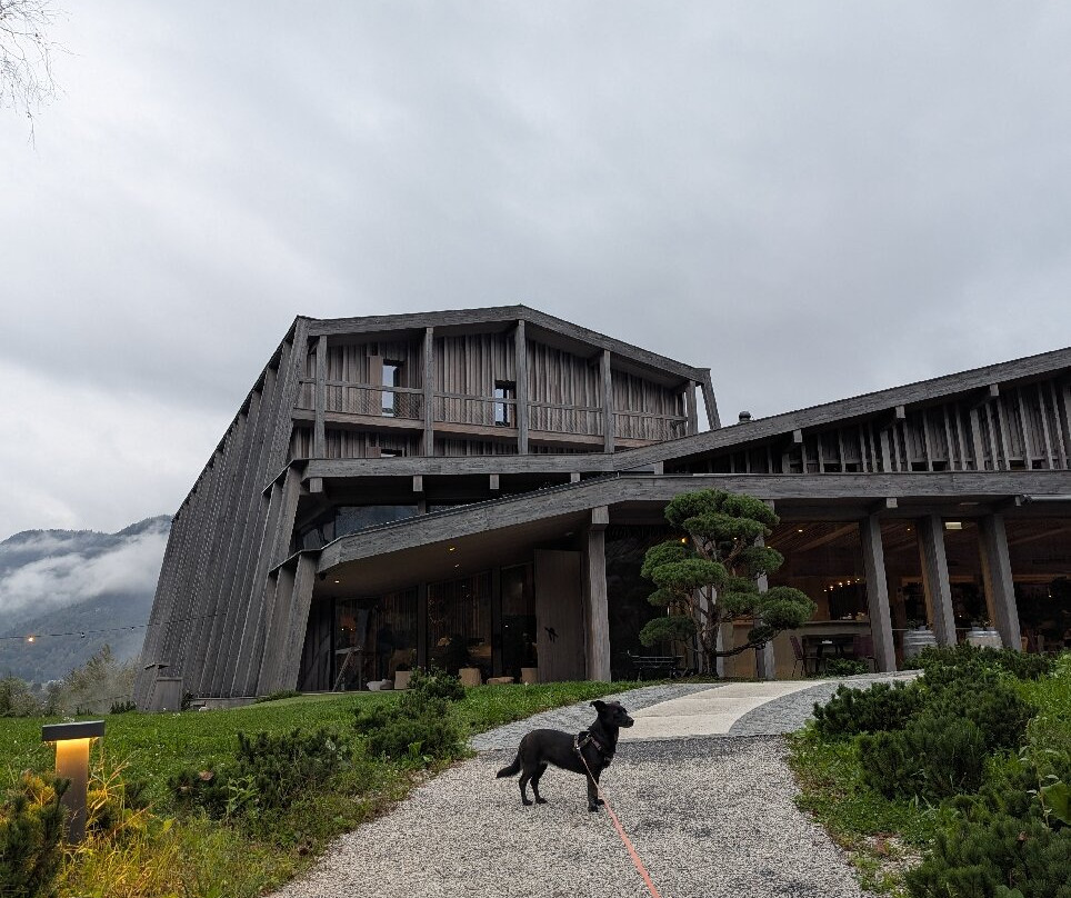 Hotel Bohinj主图