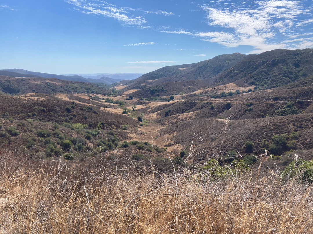 Black Star Canyon Trail-橘子郡必去景点