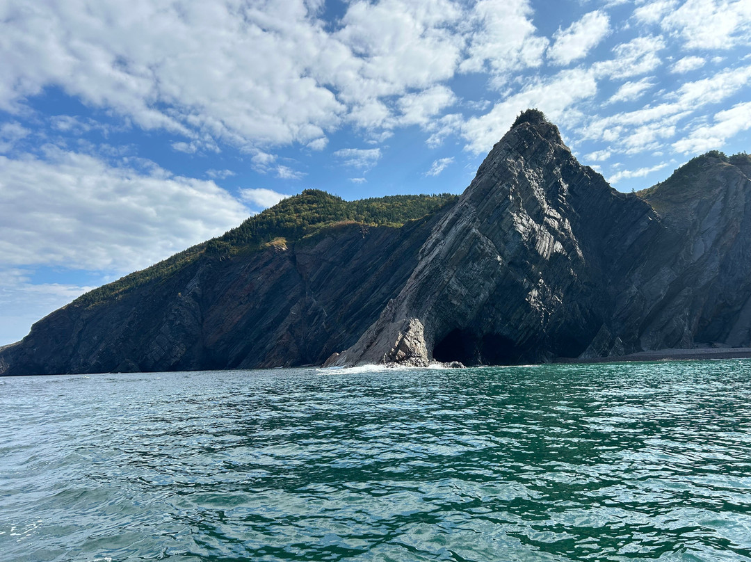 Oshan Whale Watch-Bay St. Lawrence必去景点