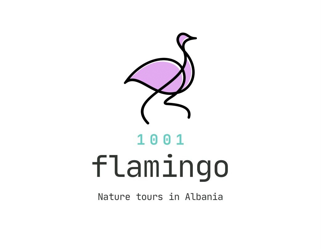 1001 Flamingo - Nature tours in Albania-地拉那必去景点