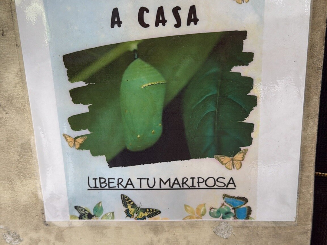 Butterfly Haven-安东谷必去景点