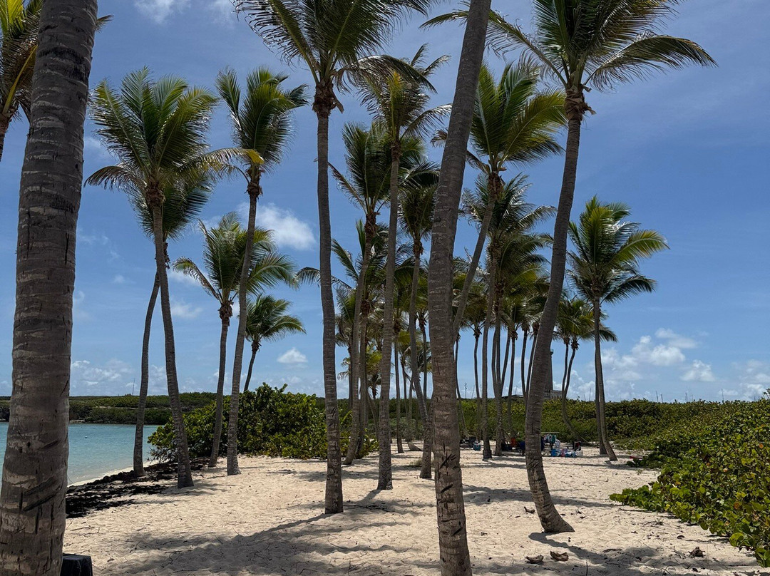 Petite Terre-瓜德罗普岛必去景点