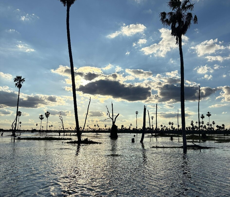 Bañado La Estrella-Las Lomitas必去景点