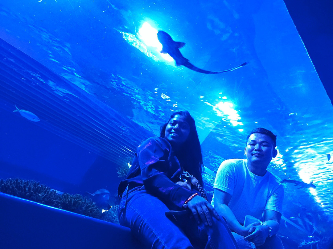 Marassi Aquarium & Underwater Zoo-Diyar Al Muharraq必去景点