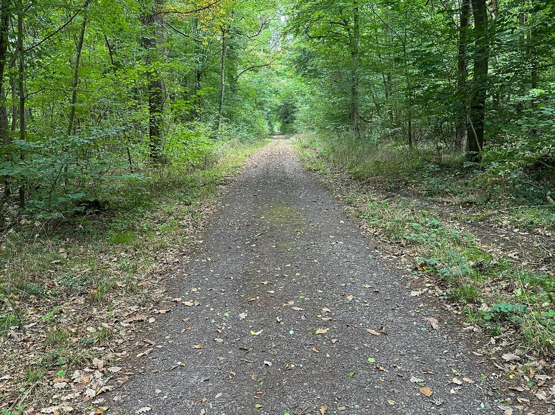 Queichwiesen-Offenbach an der Queich必去景点