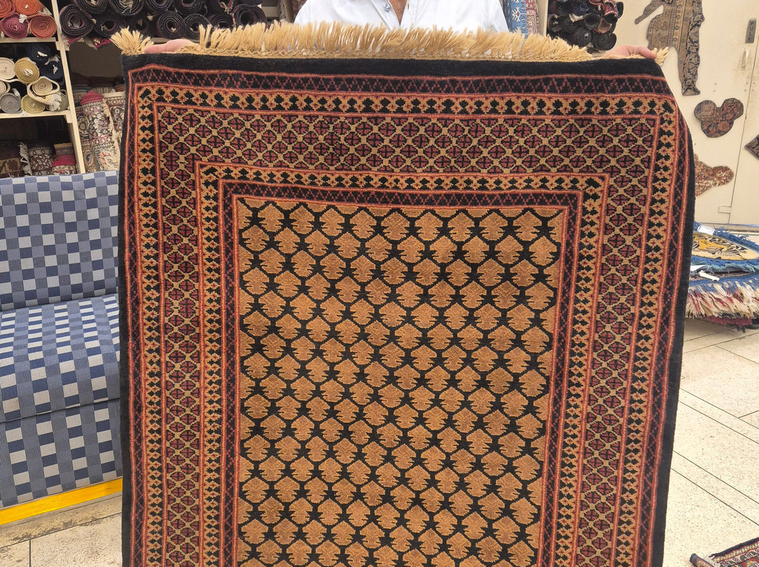 Shree Carpet & Textile Mahal India Pvt. Ltd-斋蒲尔必去景点