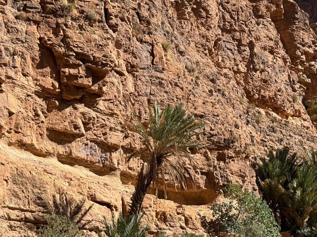 Vallee d'Ait Mansour-Tafraoute必去景点