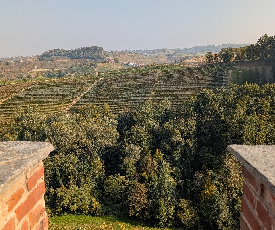 Cantina Mauro Sebaste-阿尔巴必去景点