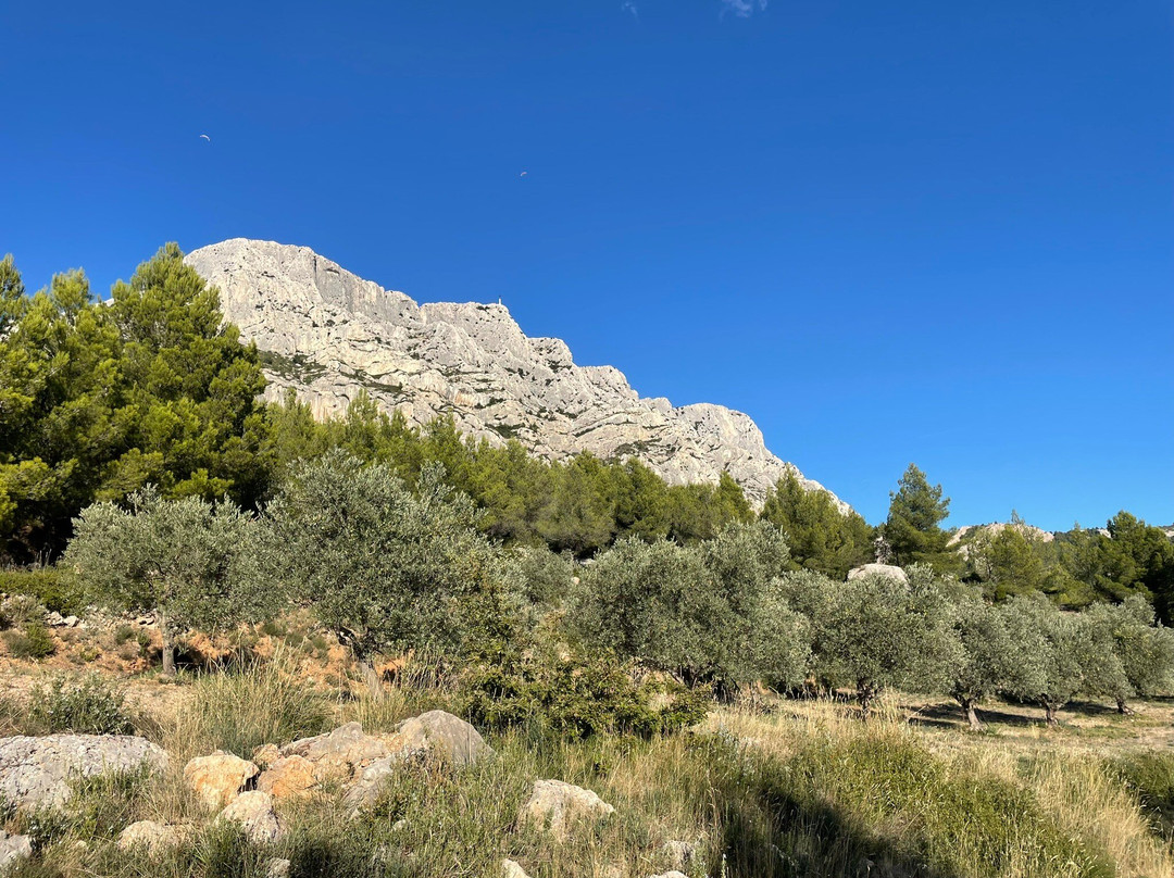 Monde Vertical | Via ferrata - Escalade-马赛必去景点