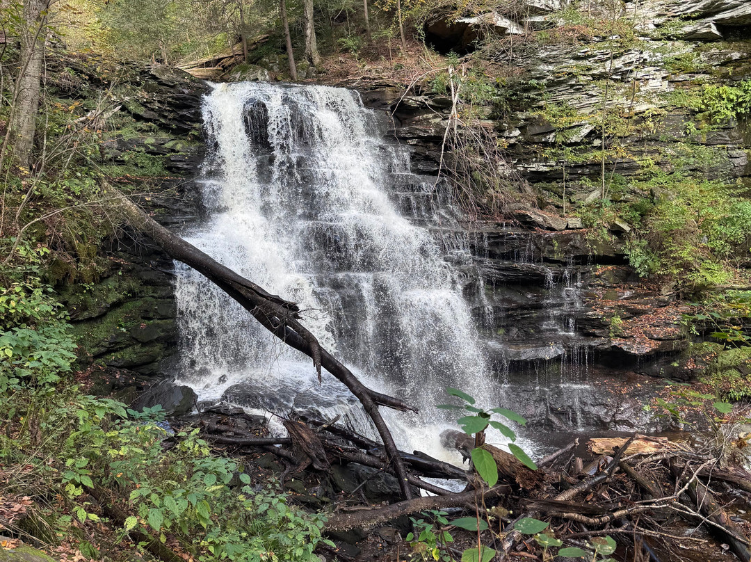 Ricketts Glen State Park-Benton必去景点