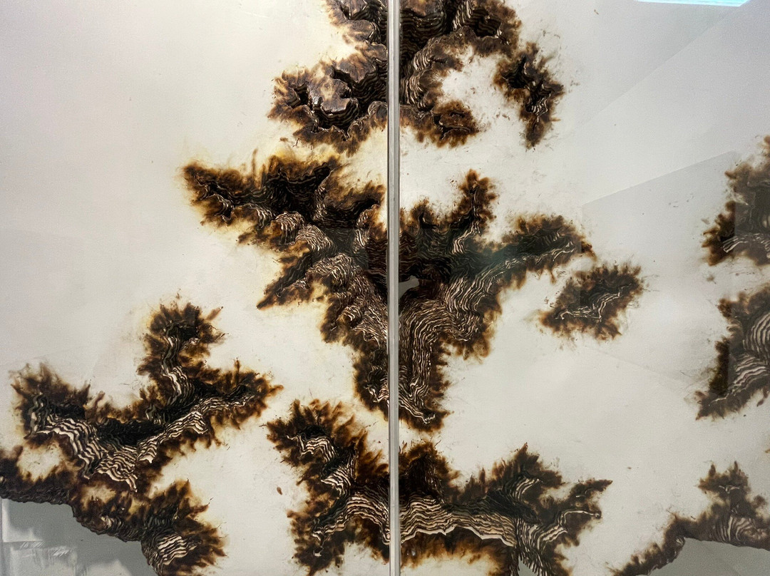 穆罕默德六世现当代艺术博物馆-拉巴特必去景点