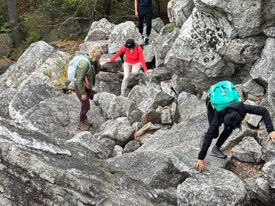 Adventure Untamed-纽约市必去景点