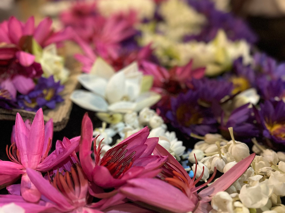 Sri Lanka Tours With Chamara-乌纳瓦图纳必去景点