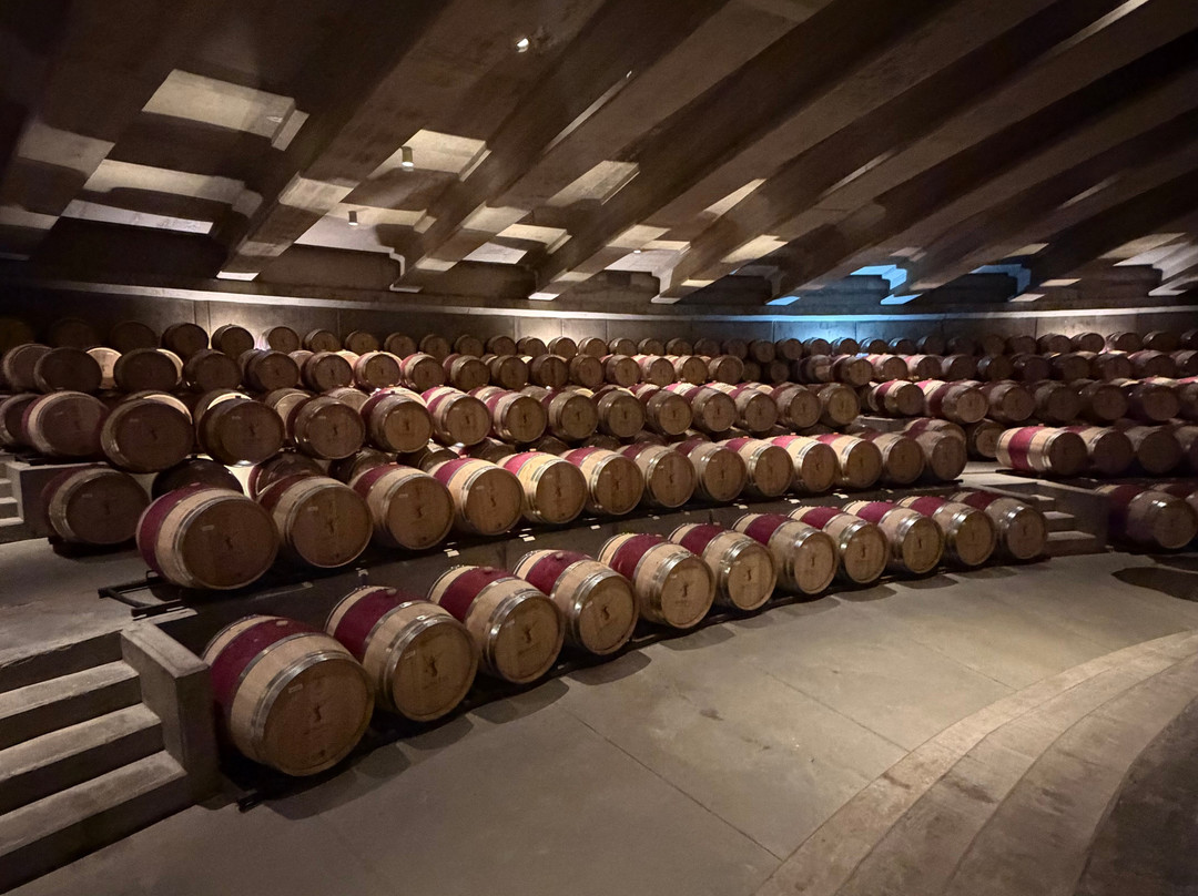 Colchagua Turismo Rural-圣克鲁斯必去景点