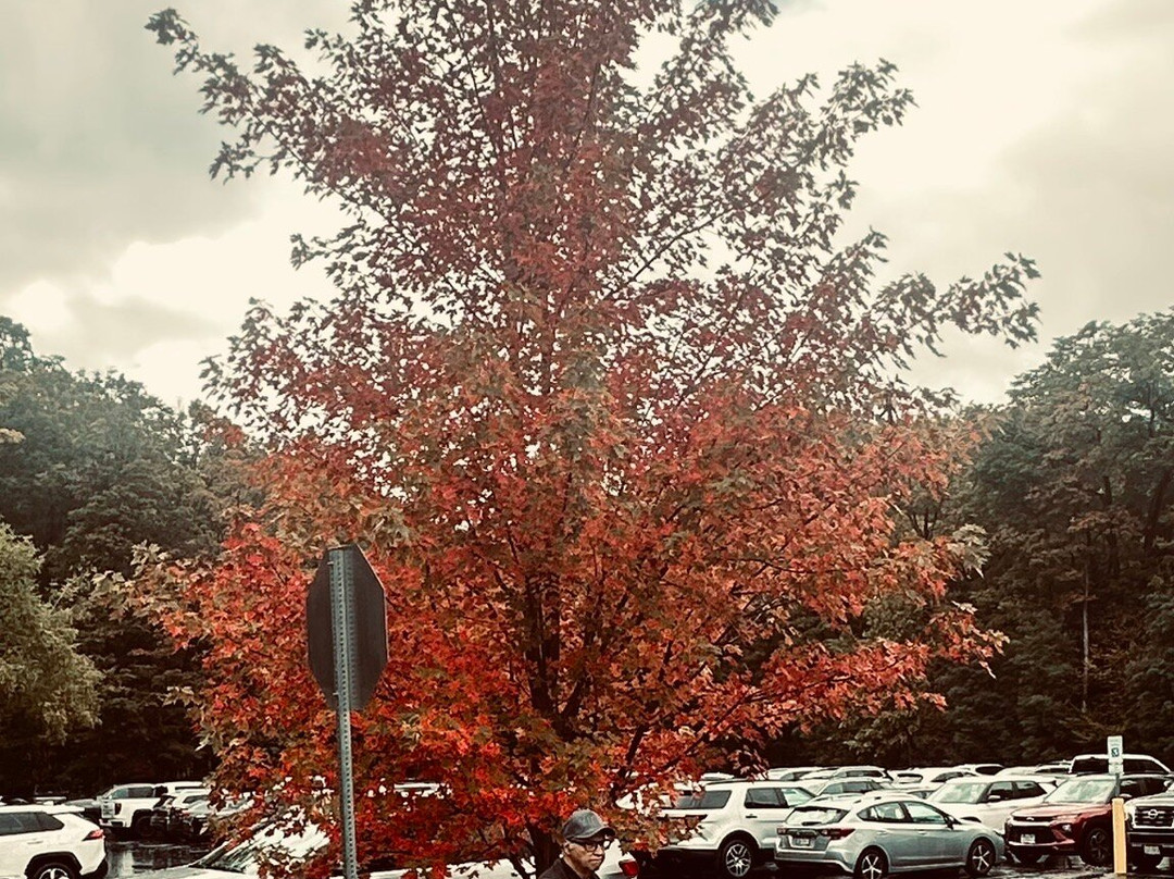 Green Lakes Golf Course-Fayetteville必去景点