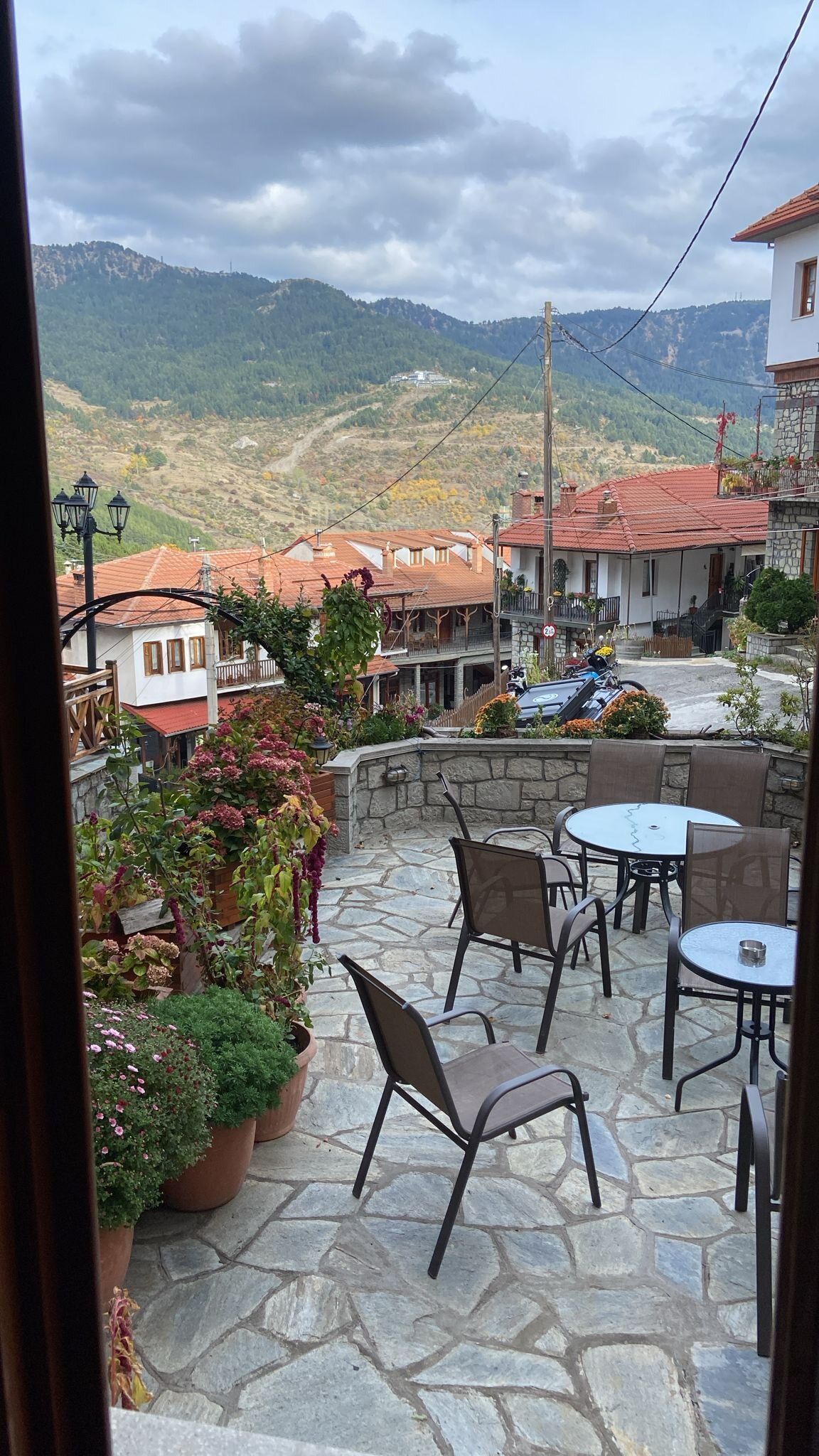 Asteri Metsovo Hotel S.A.-酒店景观