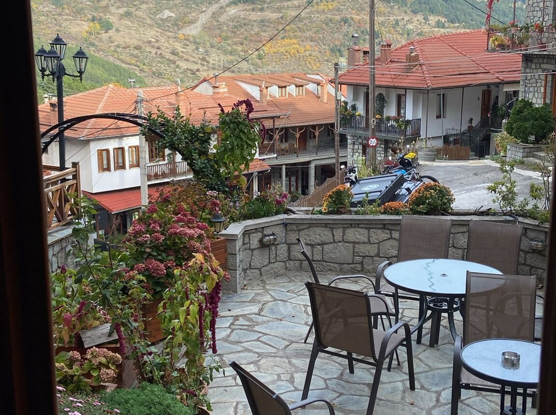 Asteri Metsovo Hotel S.A.主图
