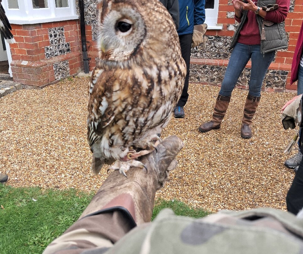 West Sussex Falconry-Compton必去景点
