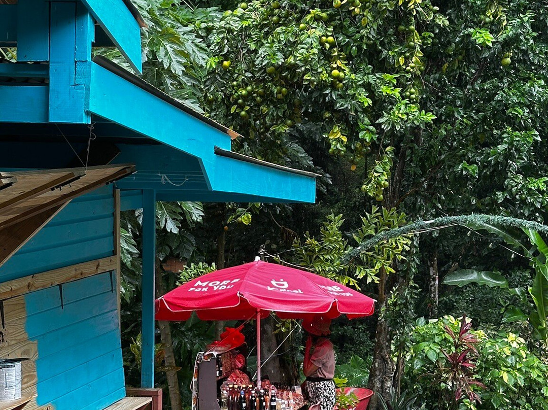 Annandale Falls-St. George's必去景点