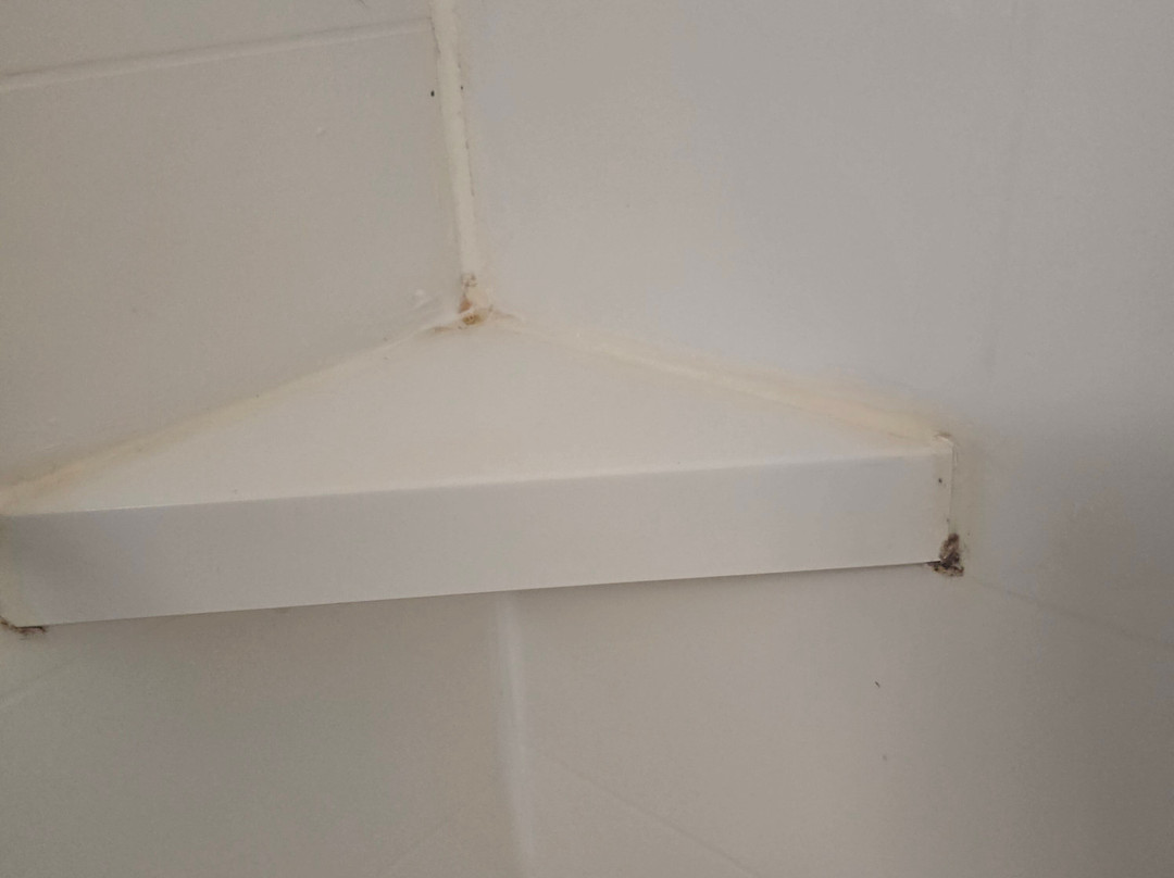 兰卡斯特希尔顿恒庭酒店主图