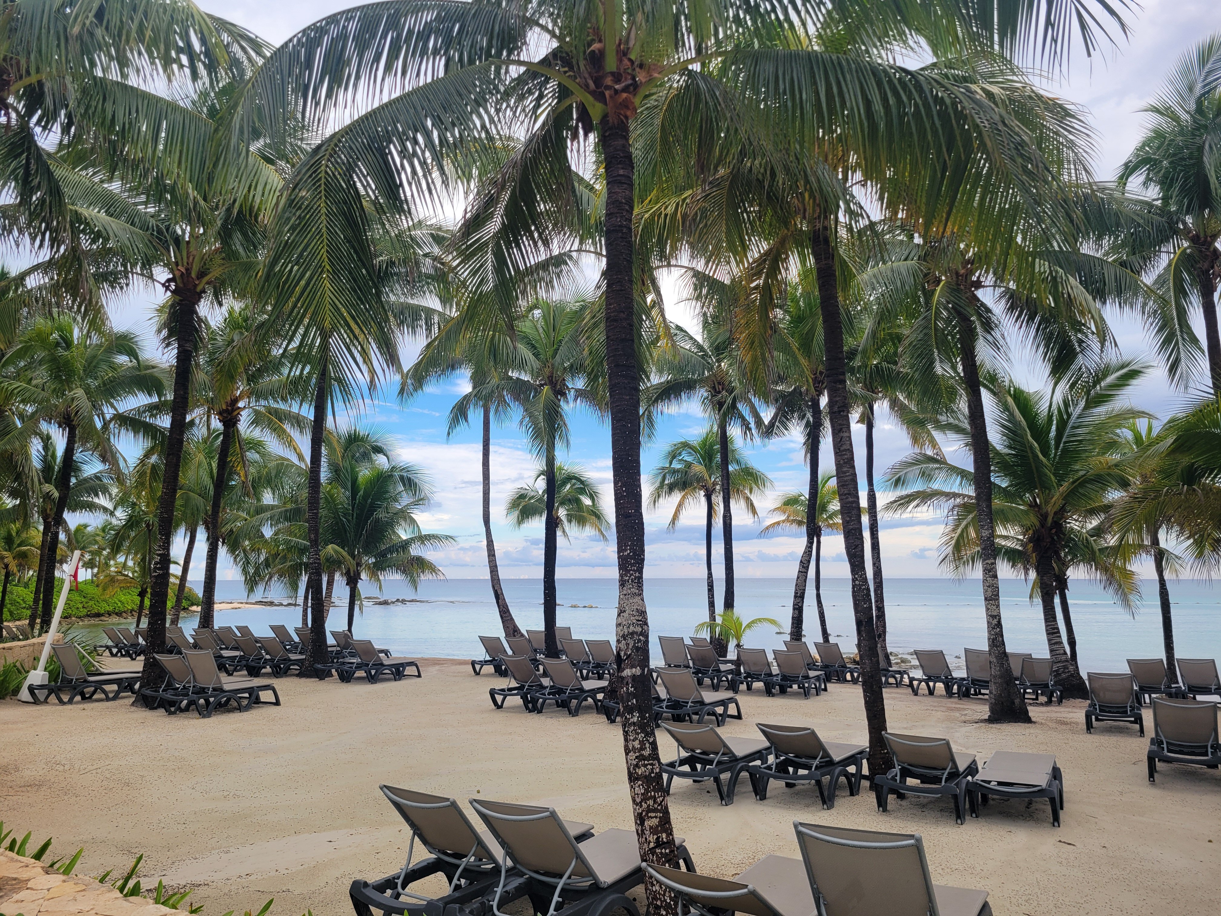 Barcelo Maya Palace-泳池