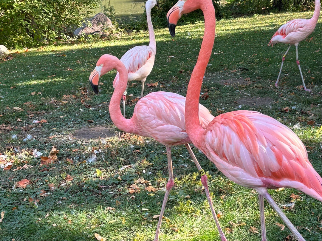 Drury Plaza Hotel Milwaukee Downtown主图