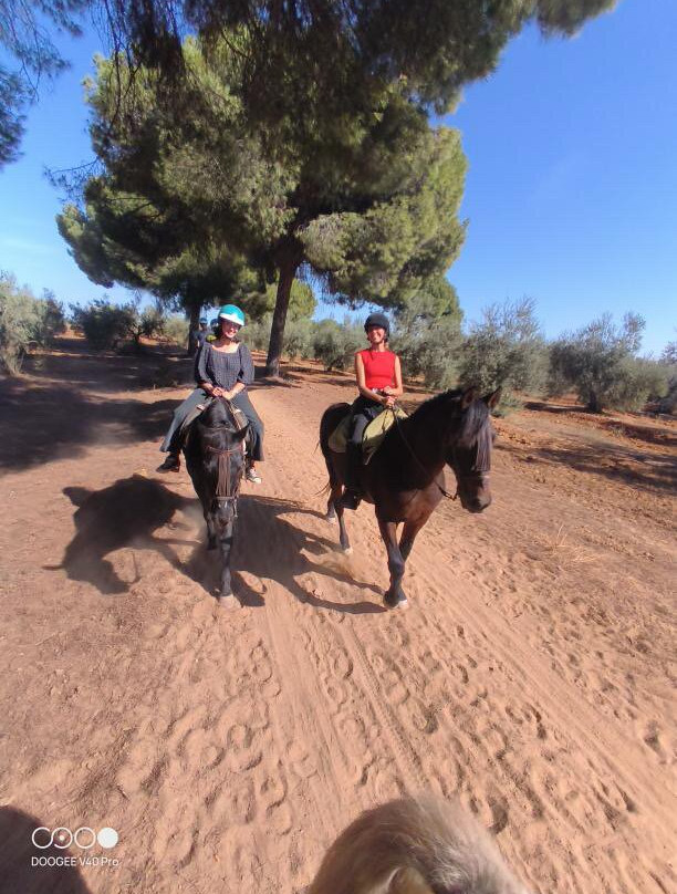 Centro Ecuestre Entrepinares-塞维利亚必去景点