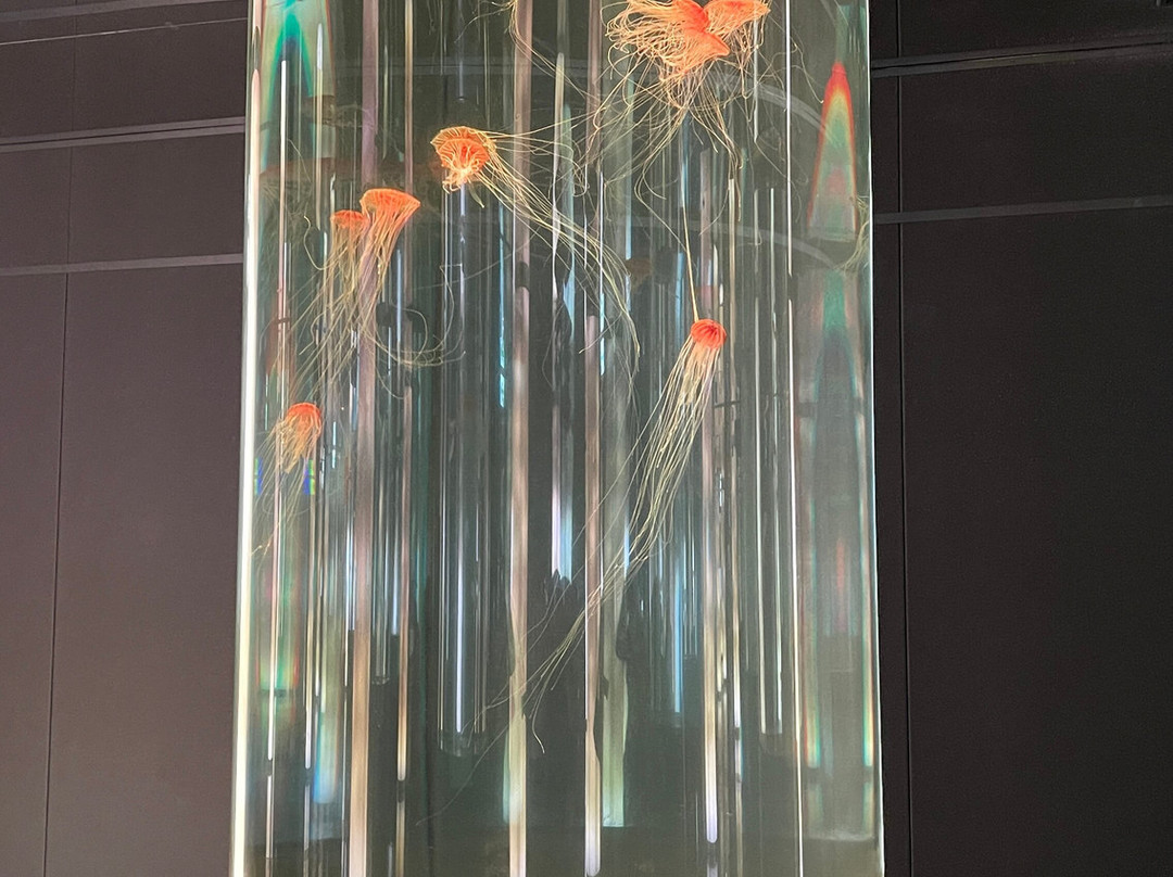 Dmm Kariyushi Aquarium-丰见城市必去景点