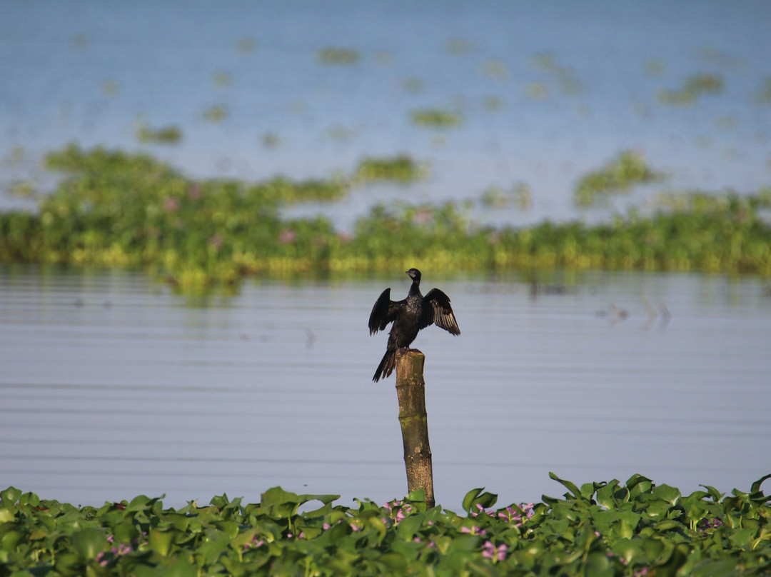 库玛拉孔泰姬陵维万塔酒店主图