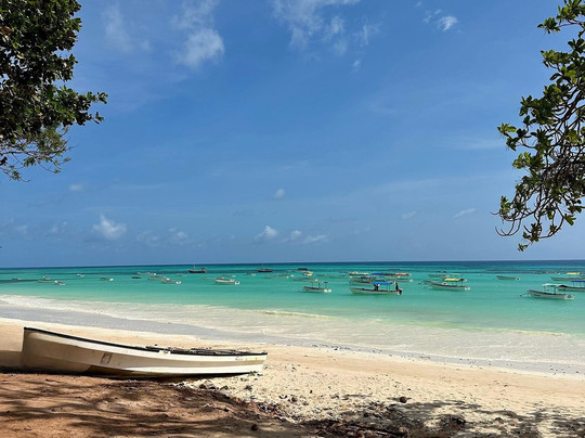 Saad Zanzibar Tour Guide-石头城必去景点