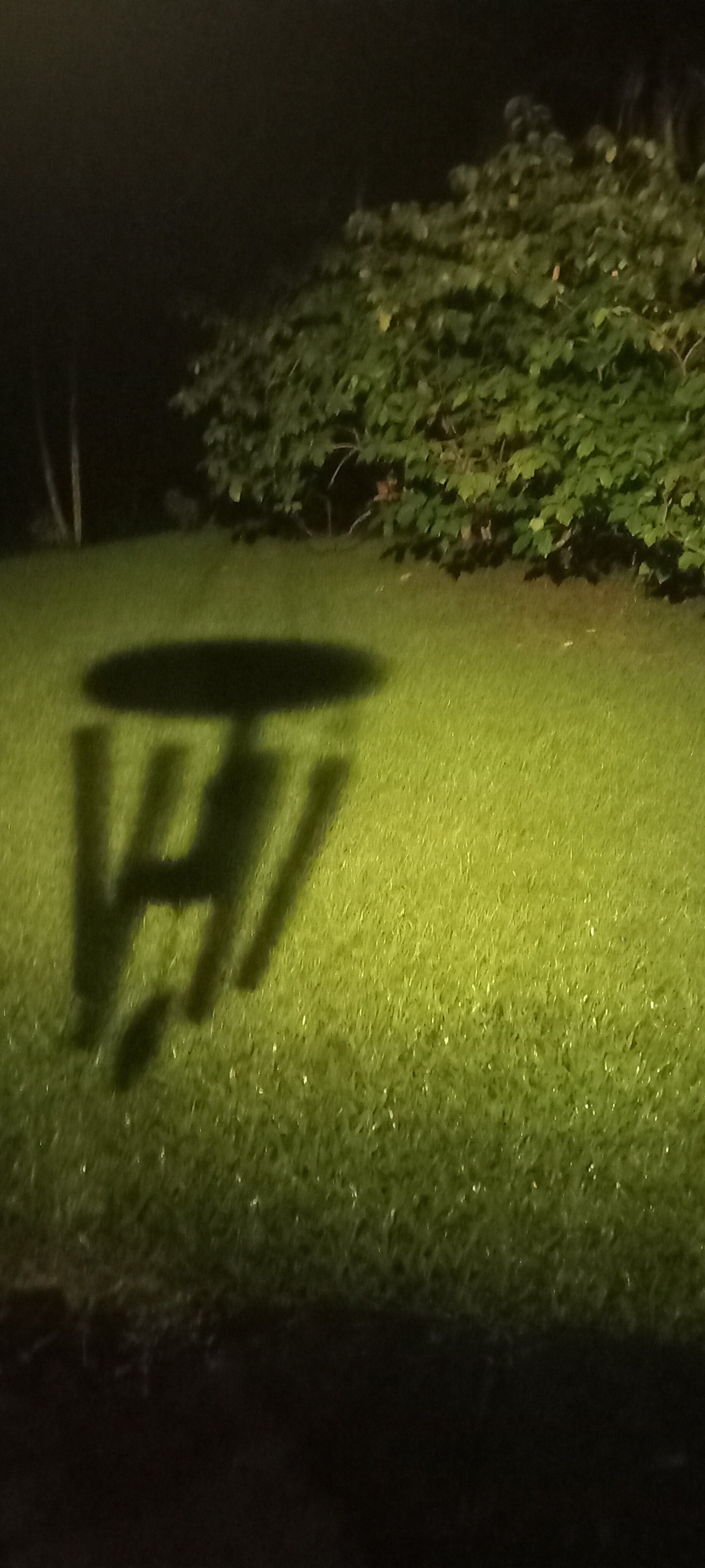 Chandoori Sai Guest House-浴室