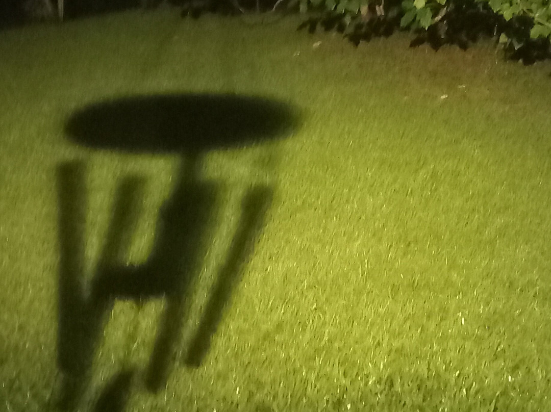 Chandoori Sai Guest House主图