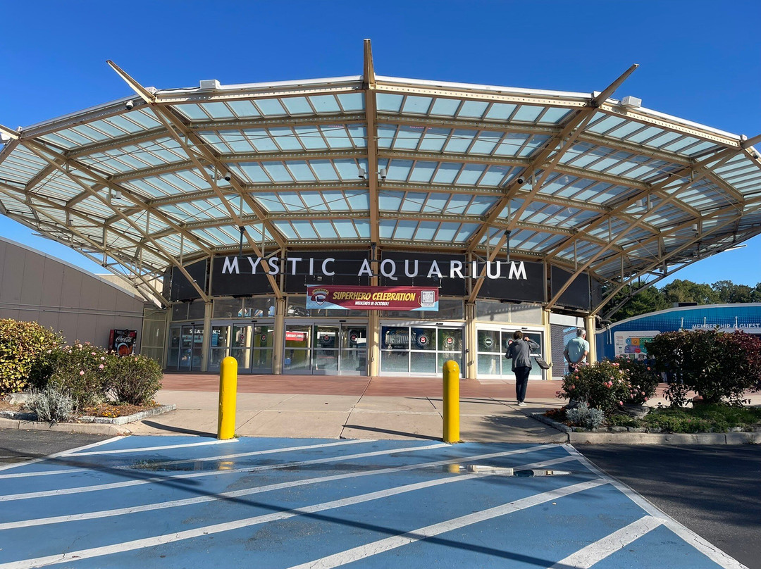 Mystic Aquarium-神秘河必去景点