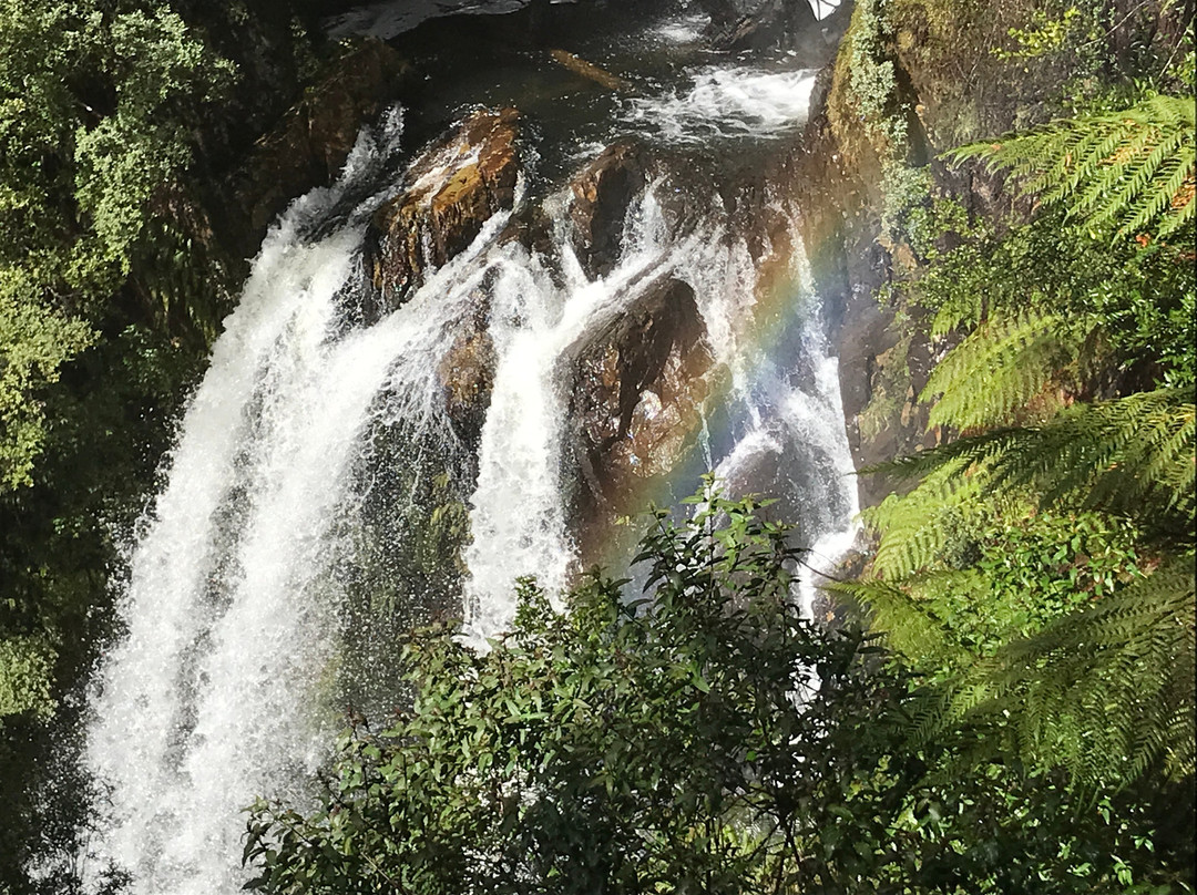 Philosopher Falls-Waratah必去景点