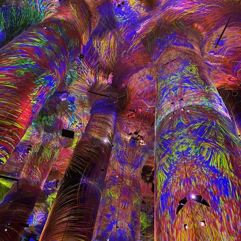 teamLab Phenomena Abu Dhabi-阿布扎比必去景点