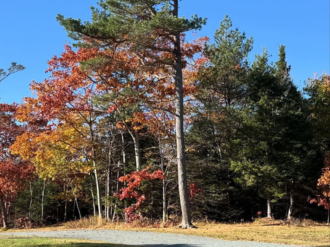 I Heart Bikes-哈利法克斯必去景点