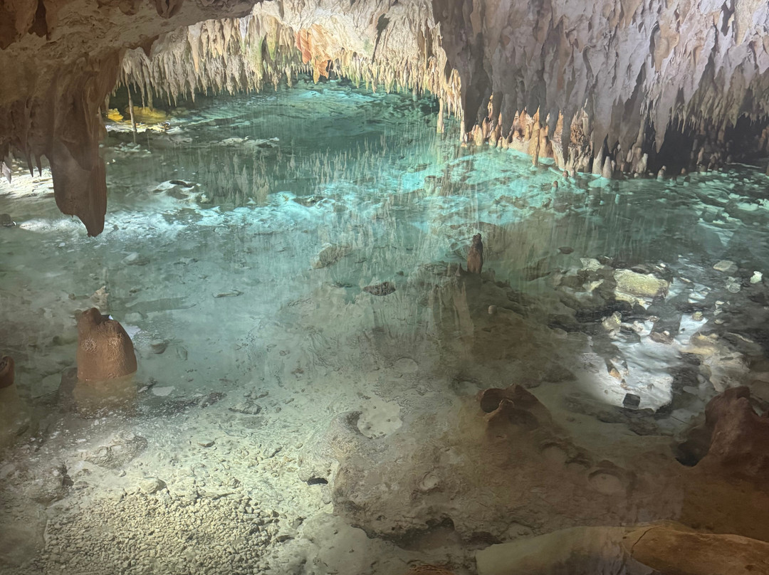 Cayman Crystal Caves-大开曼岛必去景点
