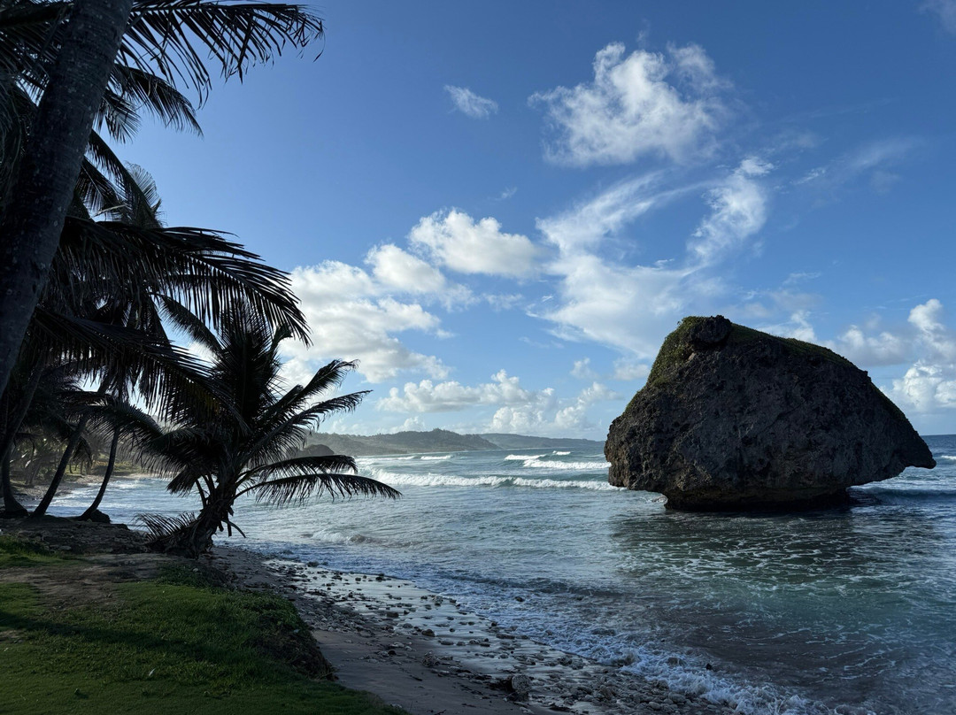 MHKK Tours & Taxi Service-Rockley必去景点