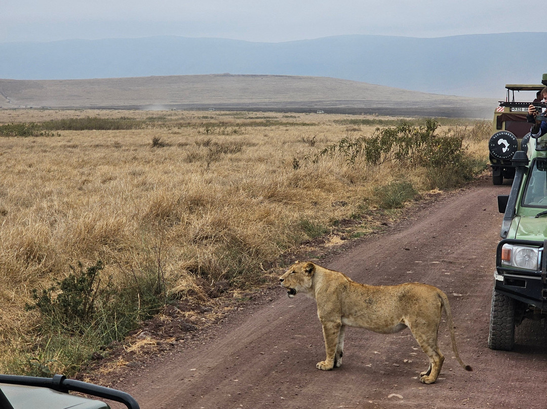 White Snow Travel-坦噶必去景点