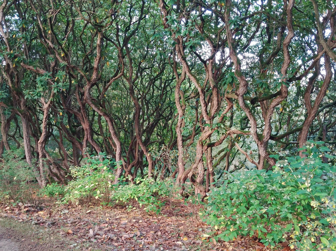 Ramster Gardens-Chiddingfold必去景点