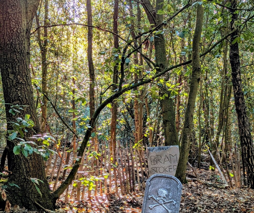 Betteshanger Park-迪奥必去景点