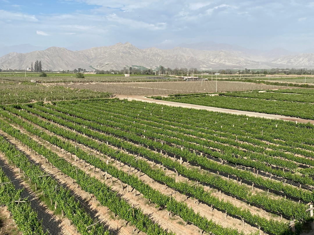 Tacama-伊卡必去景点