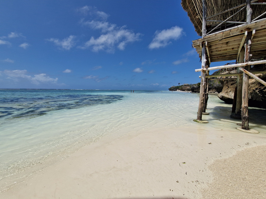 Tanzania Specialist-阿鲁沙必去景点