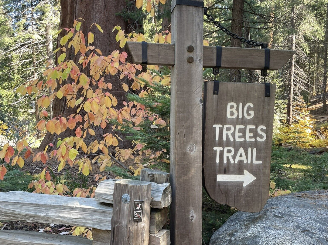 Big Trees Trail-红杉&国王峡谷国家公园必去景点