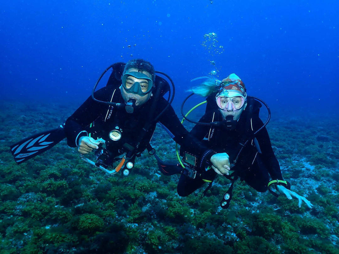 Atlantis Divers-费尔南多-迪诺罗尼亚群岛必去景点