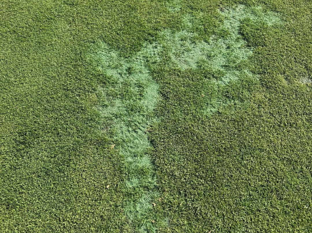 Club De Golf Bonalba-Mutxamel必去景点