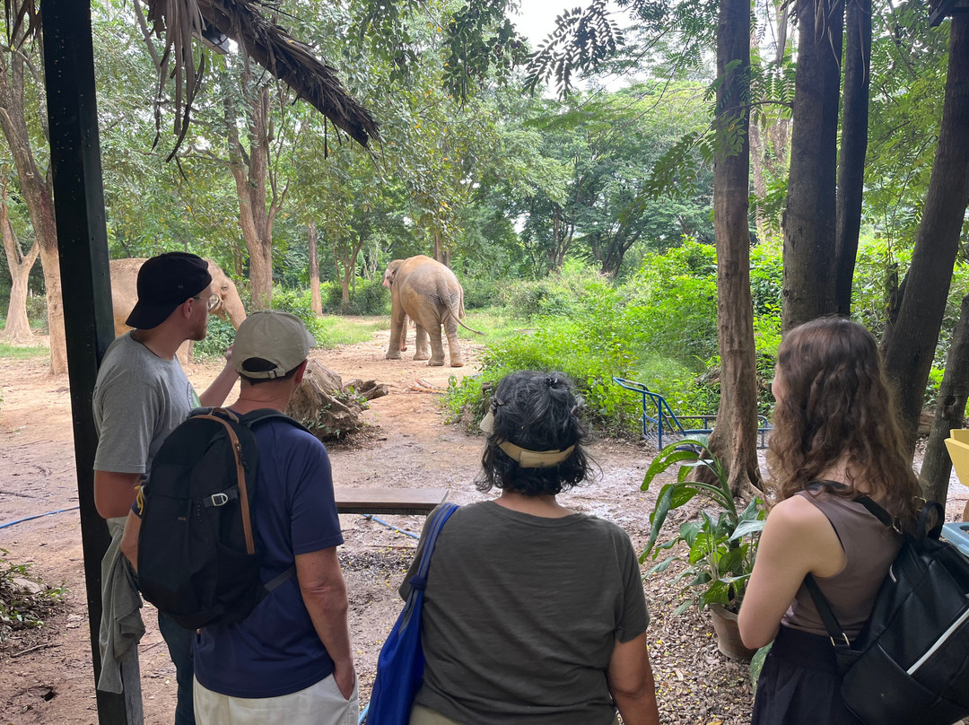 Somboon Legacy Foundation-Klon Do必去景点