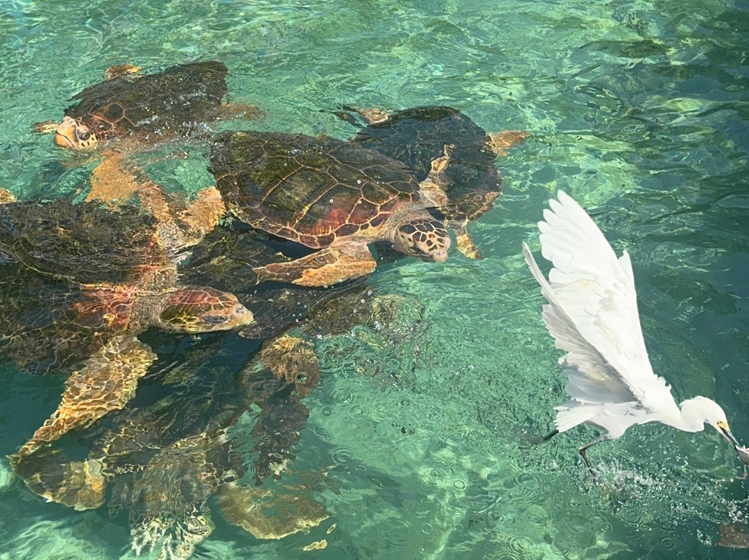 Rosario Beach Cartagena-卡塔赫纳必去景点