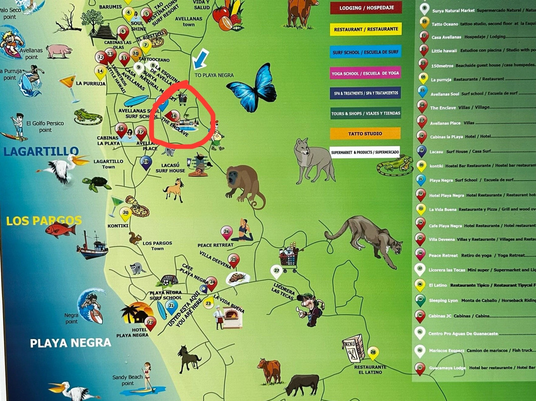 Playa Avellana-Playa Avellanas必去景点