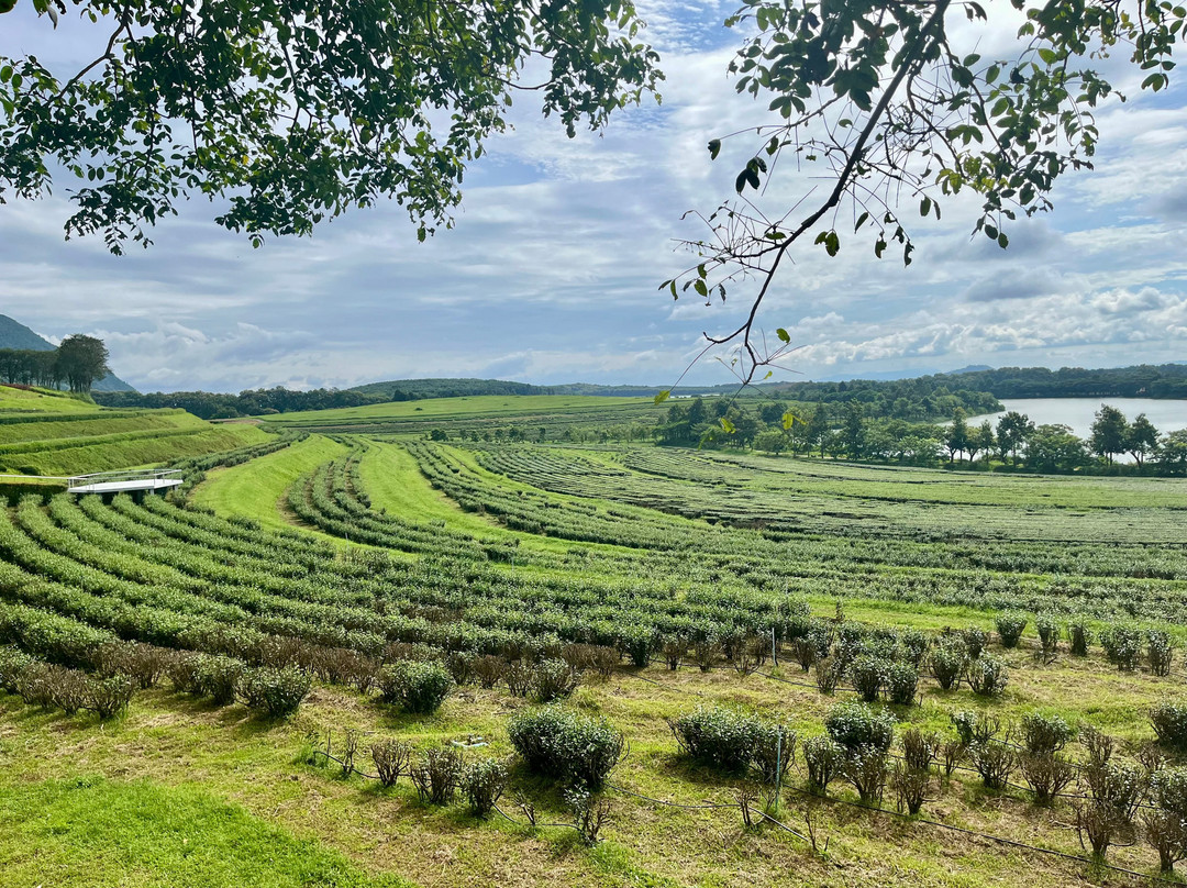 辛哈公园-Mae Kon必去景点
